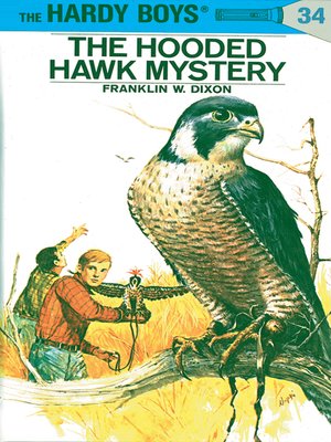The Hooded Hawk Mystery - ebook